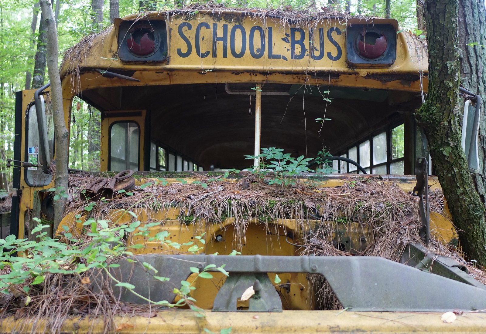 An old school bus at Old Car City USA. Credit – Parker Lewis